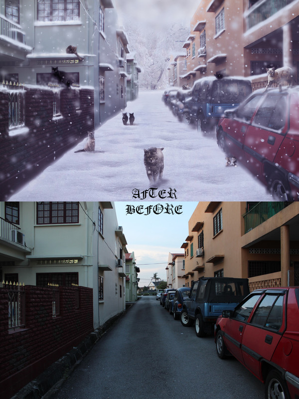 Frozen_cat_town (before & after)