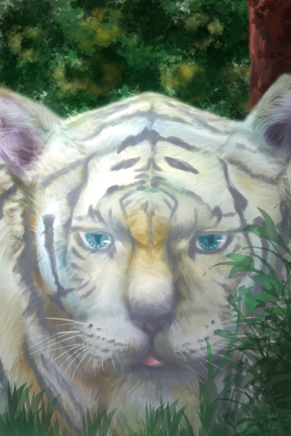 Siberian tiger