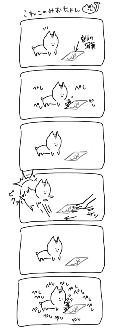 ねこのみーちゃん