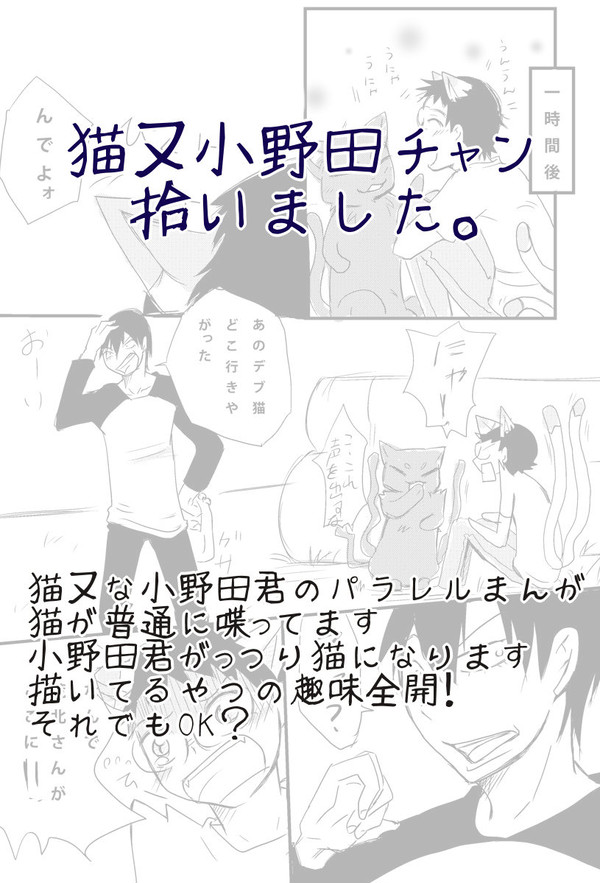 猫又小野田チャン拾いました（前）