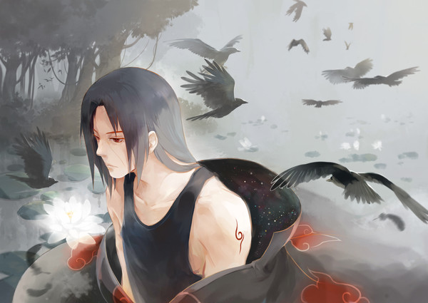 lotus