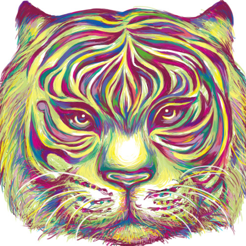 tiger