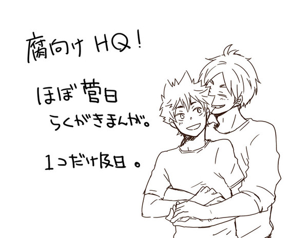 【腐向け】ＨＱ詰め【菅日、及日】