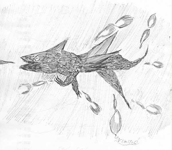 韋駄天魚
