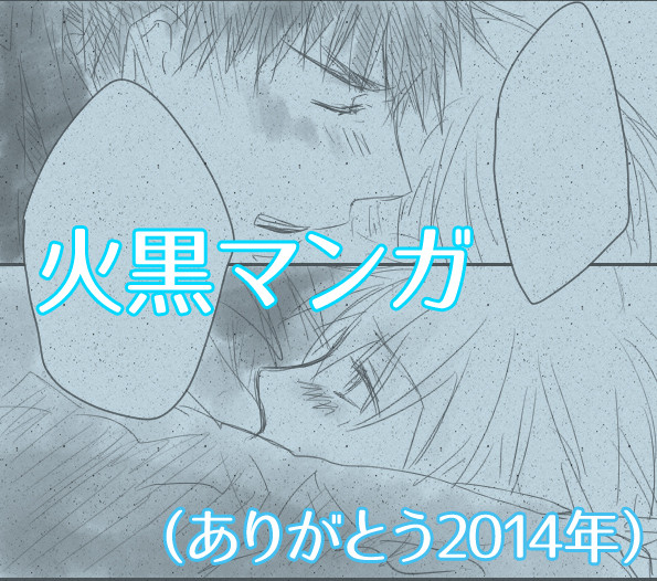 火黒な2014年でした