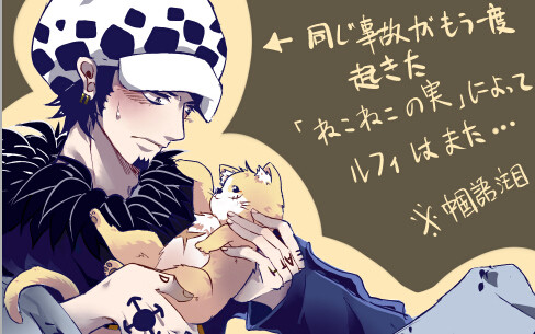 トラ男とねこルフィ