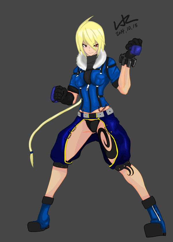 fighter