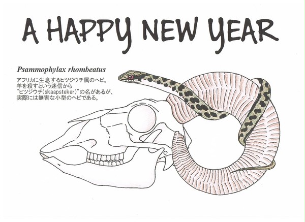 今年もヘビ年