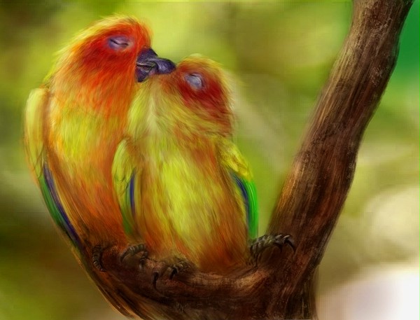 Love