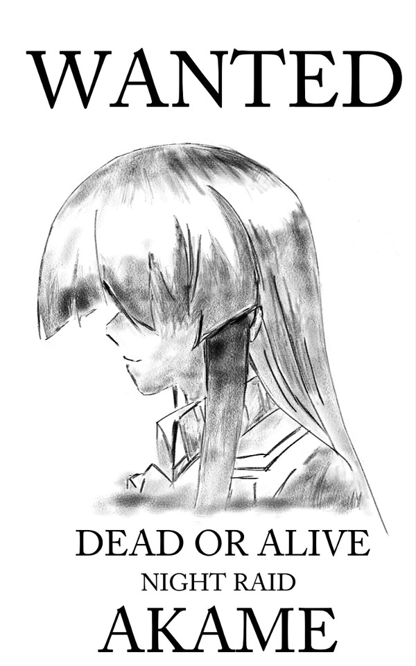 WANTED：AKAME