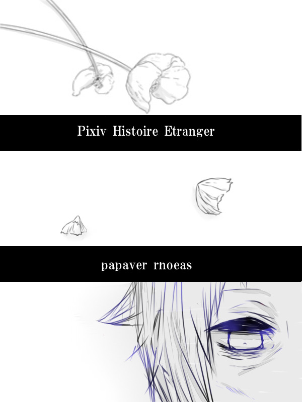 【PHE】雛罌粟【交流】