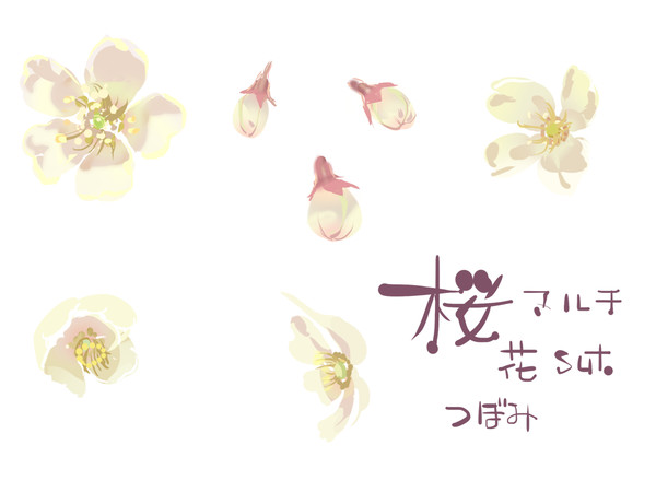 桜・花びらつぼみマルチ - 1/1