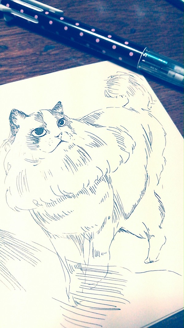 もふもふ