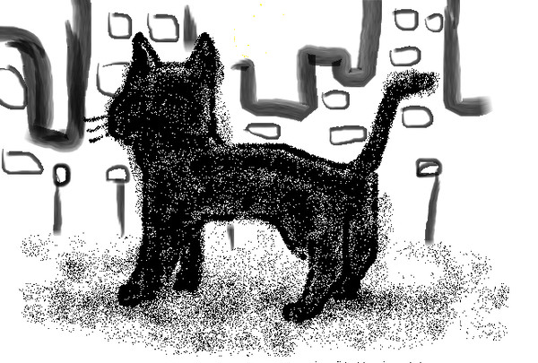 黒猫