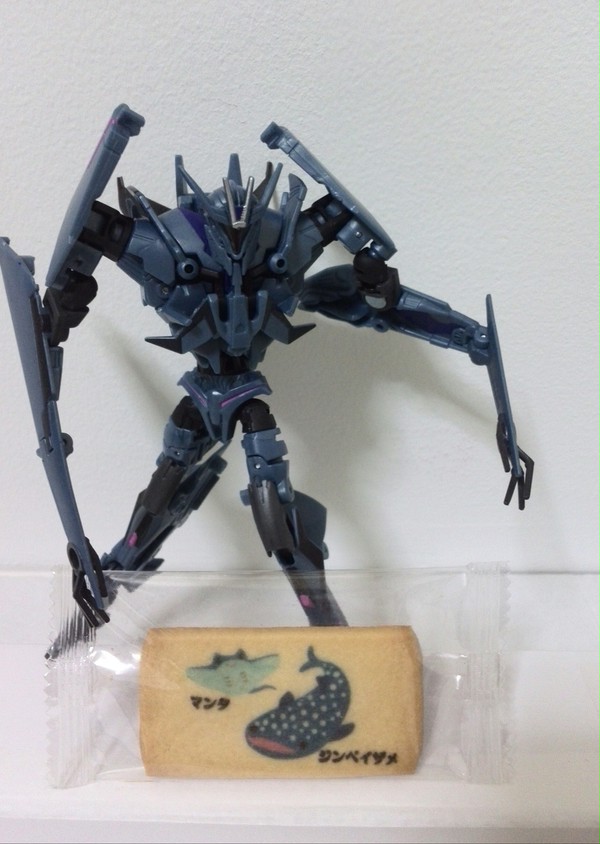 TF劇場