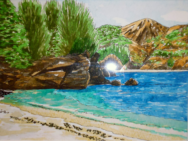 小笠原コペペ海岸