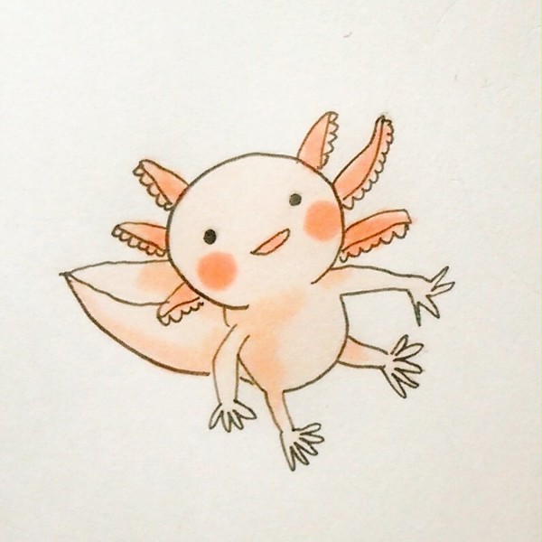 ウーパールーパー