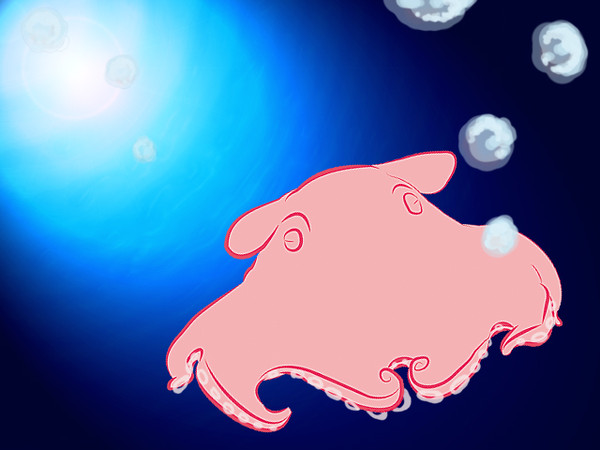 メンダコ
