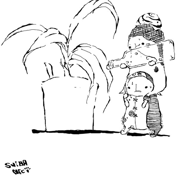 家に幸福の木があったので