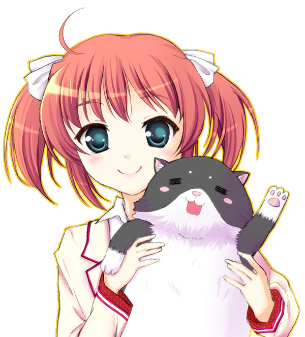 こだっちゃん