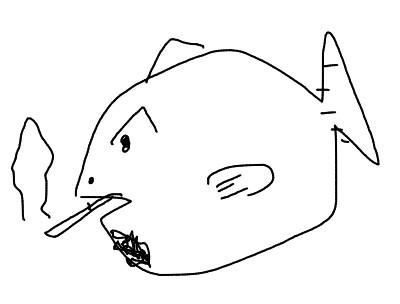 daito先生