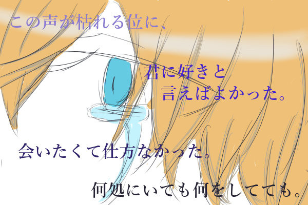 色々詰めてみました。