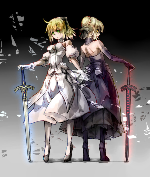 純白の騎士姫と闇の騎士王