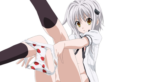 小猫ちゃん