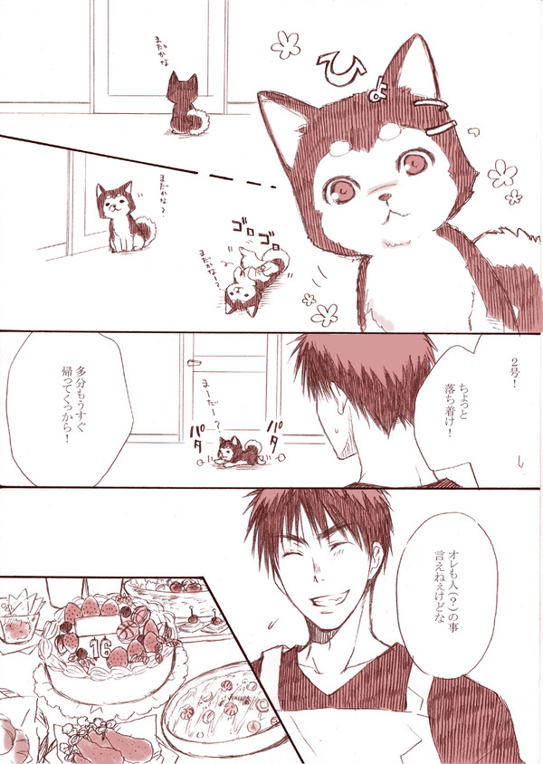 ボクの神様(黒子君誕生日おめでとう!)