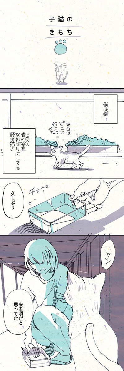 子猫のきもち