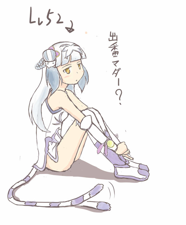 うちのハクさん