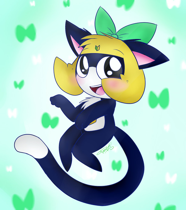Kitteh Tama