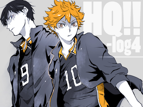 hq-log4