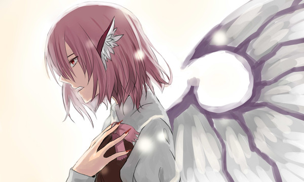 Night bird's song to daybreak