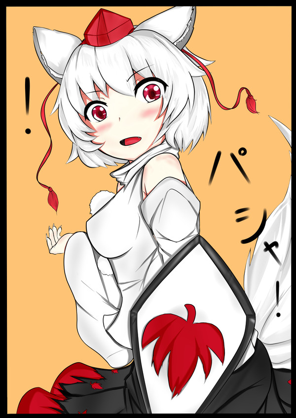 椛撮影