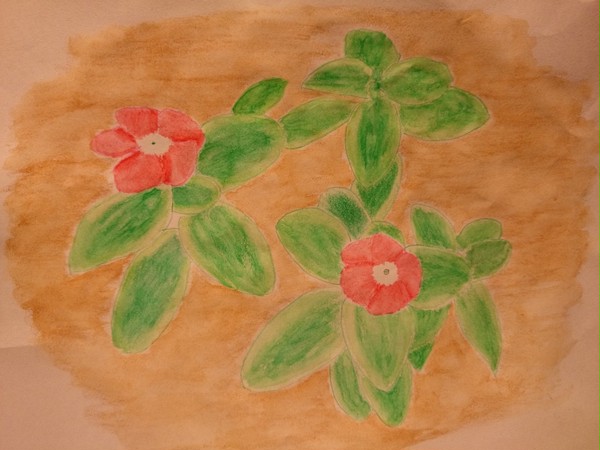 にちにち草
