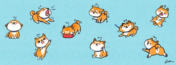犬日常