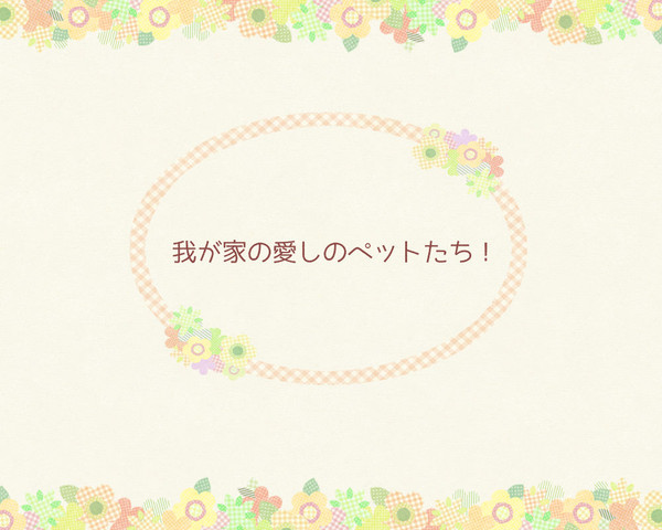 我が家の愛しのペットたち！