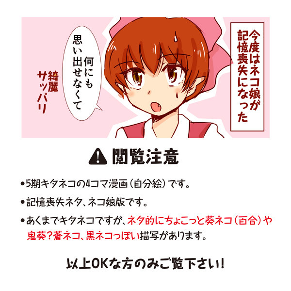 記憶喪失【ネコ娘版/5期キタネコ】