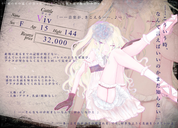 【黒オク】 ヴィヴ 【キャトル】