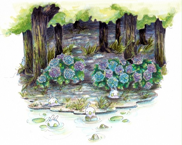 ヌメラの森