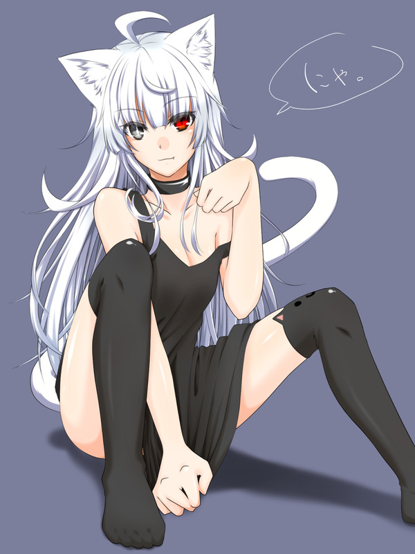 うちのこにゃんにゃ
