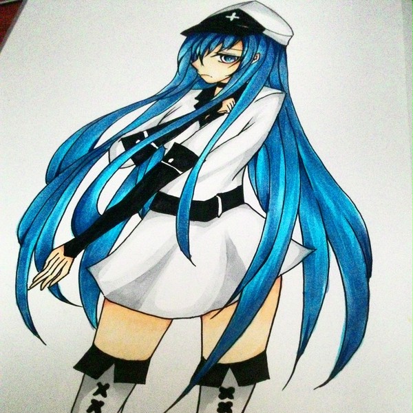 akame ga kill