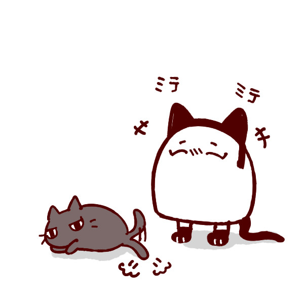 ねこの日
