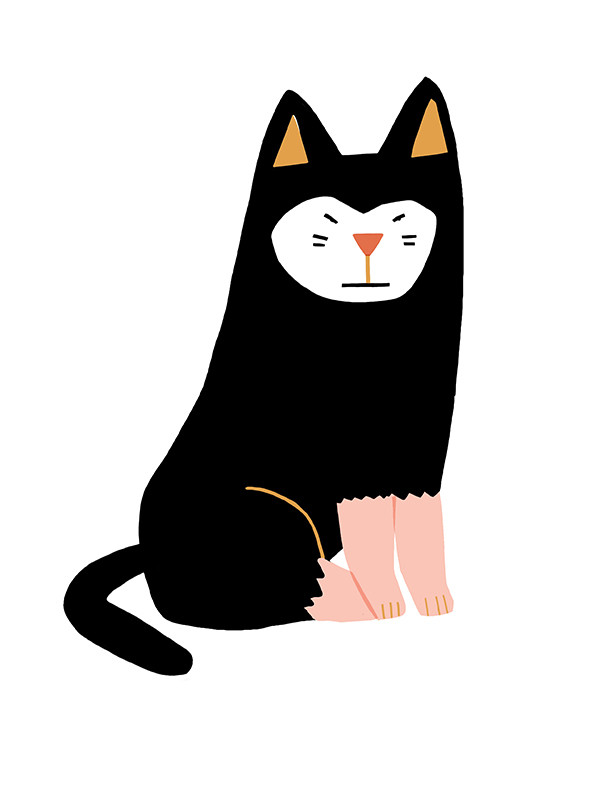 猫詰め合わせ