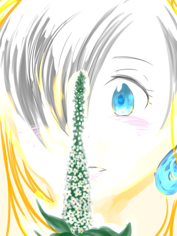 その花の名前は
