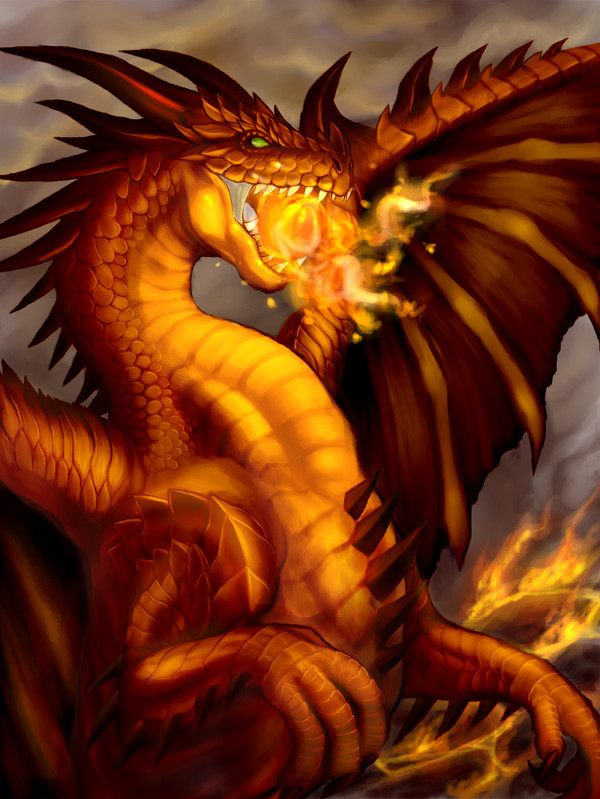 熱いとこにいるドラゴン