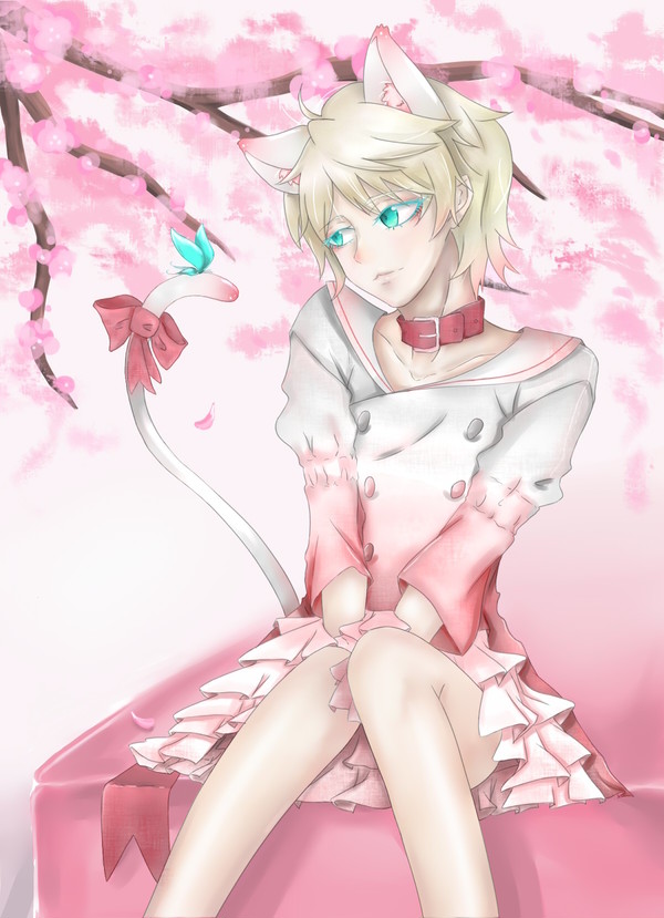 Slaine cat