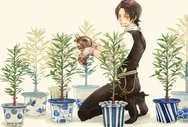 【刀剣乱舞】清光とホウセンカ