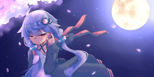 夜桜ゆかりん